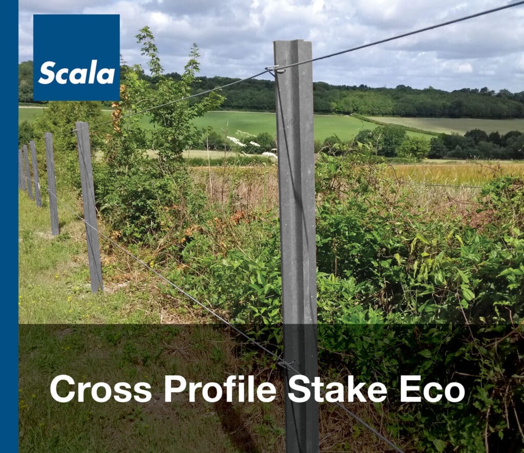 Tegels: Cross Profile Stake Eco / Dalles : Cross Profile Stake Eco