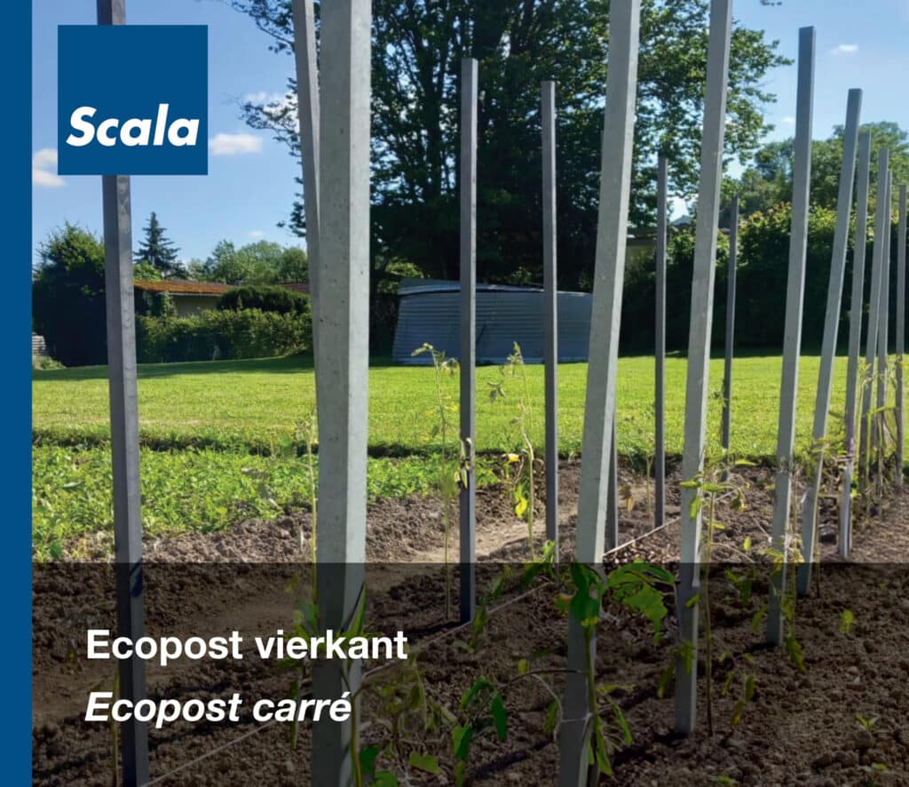 Tegels: Ecopost vierkant / Dalles : Ecopost carré