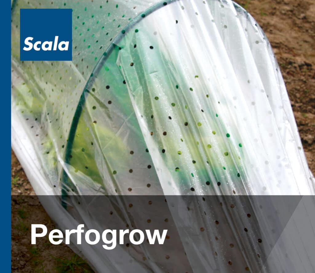 Folies: Perfogrow / Films : Perfogrow
