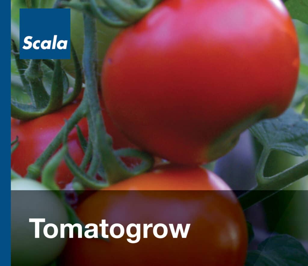 Folies: Tomatogrow / Films : Tomatogrow