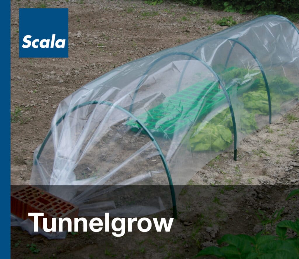 Folies: Tunnelgrow / Films : Tunnelgrow